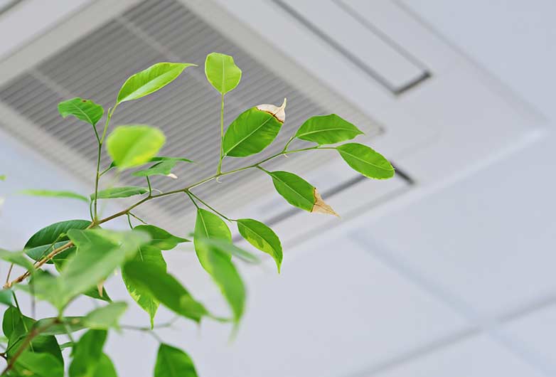 indoor-air-quality